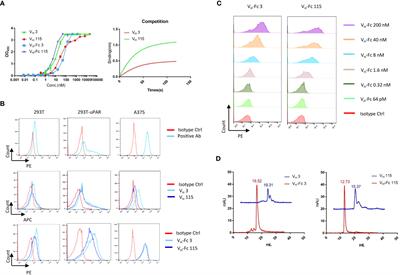 Human antibody VH domains targeting uPAR as candidate therapeutics for cancers